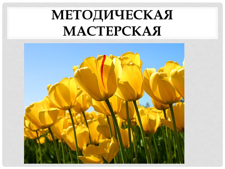 Презентация опыта работы по теме Мнемоника - Скачать школьные презентации PowerPoint бесплатно | Портал бесплатных презентаций school-present.com