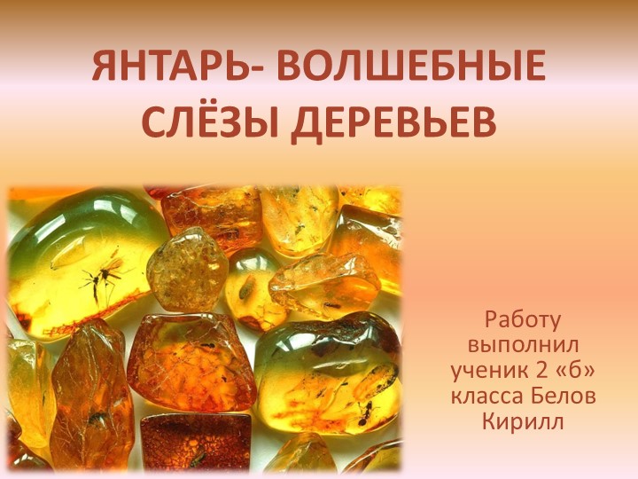 Презентация "Янтарь-волшебнве слёзы деревьев" - Скачать школьные презентации PowerPoint бесплатно | Портал бесплатных презентаций school-present.com