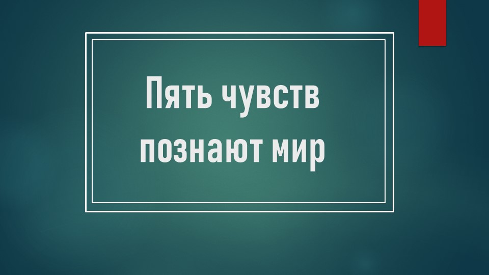 Презентация "Пять чувств познают мир " про органы чувств(дополнение к плану-конспекту) - Скачать школьные презентации PowerPoint бесплатно | Портал бесплатных презентаций school-present.com