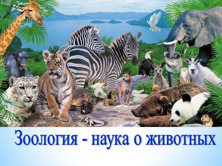 Зоология -наука о животных. - Скачать школьные презентации PowerPoint бесплатно | Портал бесплатных презентаций school-present.com