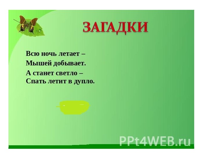 Презентация "Общие признаки птиц. Внешнее строение." (8 класс) - Скачать школьные презентации PowerPoint бесплатно | Портал бесплатных презентаций school-present.com