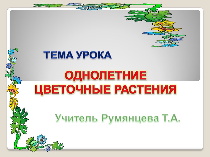 Презентация по технологии "Однолетние цветочные растения" 8класс - Скачать школьные презентации PowerPoint бесплатно | Портал бесплатных презентаций school-present.com