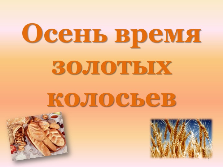 Презентация "Осень золотых колосьев" в старшей группе - Скачать школьные презентации PowerPoint бесплатно | Портал бесплатных презентаций school-present.com