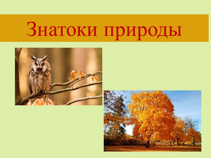 Презентация "Знатоки природы" по окружающему миру - Скачать школьные презентации PowerPoint бесплатно | Портал бесплатных презентаций school-present.com