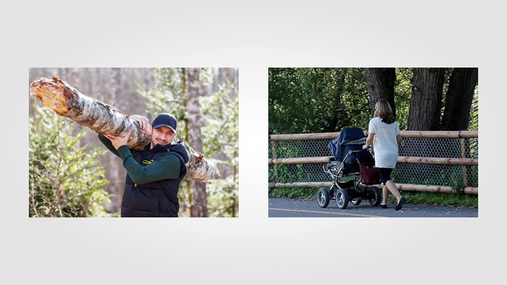 Презентация на тему "Работа и мощность". - Скачать школьные презентации PowerPoint бесплатно | Портал бесплатных презентаций school-present.com