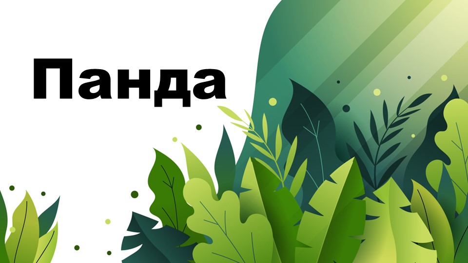Презентация по биологии на тему "Панда" - Скачать школьные презентации PowerPoint бесплатно | Портал бесплатных презентаций school-present.com