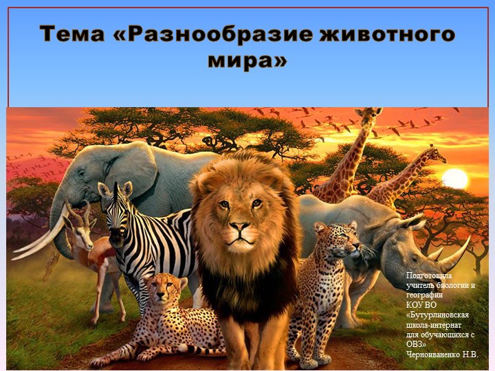 Презентация по природоведению на тему "Разнообразие животного мира" (6 класс). - Скачать школьные презентации PowerPoint бесплатно | Портал бесплатных презентаций school-present.com