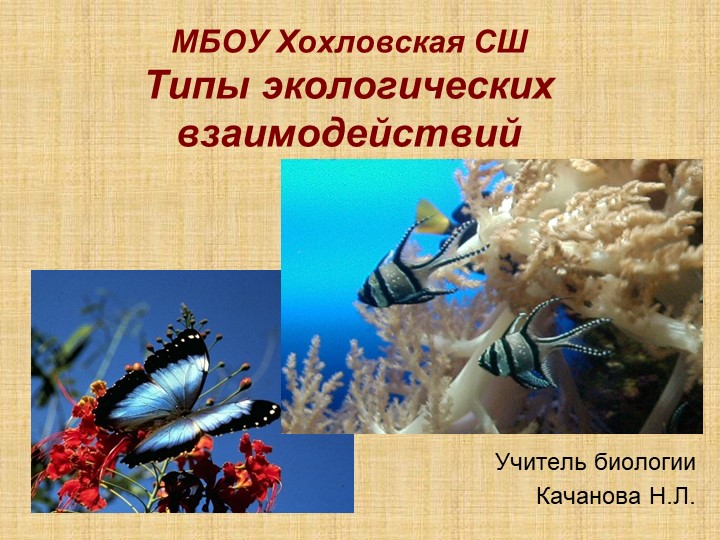 Презентация по биологии "Типы экологических взаимодействий" (11 класс) - Скачать школьные презентации PowerPoint бесплатно | Портал бесплатных презентаций school-present.com