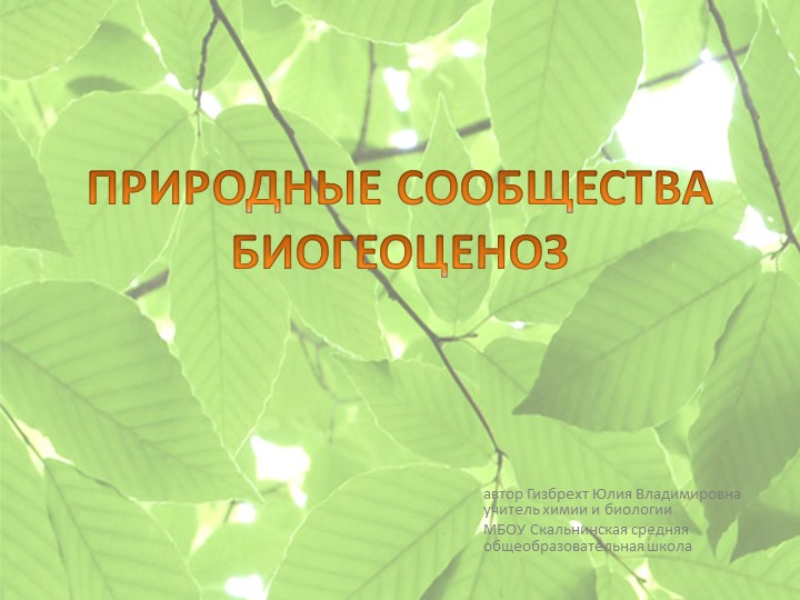 Презентация по биологии "Природные сообщества" (6 класс) - Скачать школьные презентации PowerPoint бесплатно | Портал бесплатных презентаций school-present.com