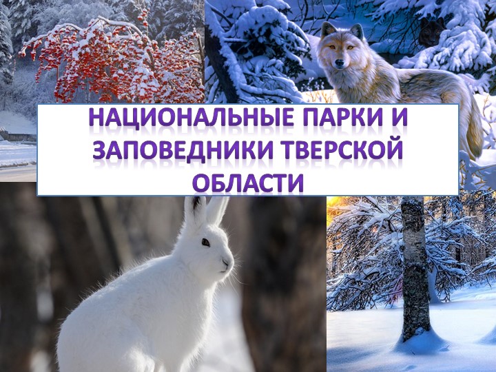 Презентация по биологии на тему "Национальные парки и заповедники Тверской области" " - Скачать школьные презентации PowerPoint бесплатно | Портал бесплатных презентаций school-present.com