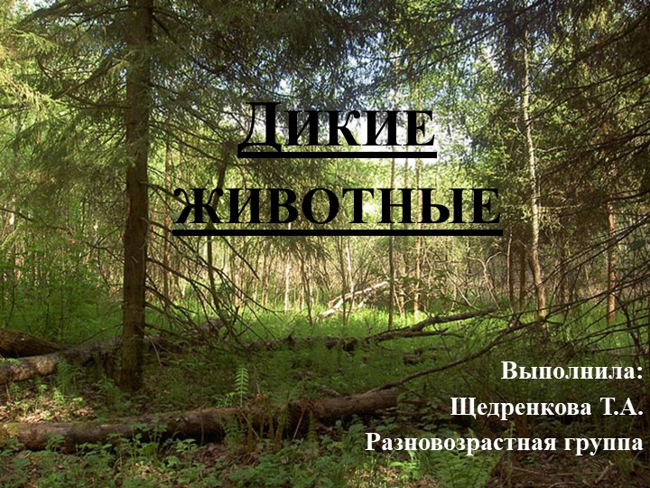 Презентация на тему " Дикие животные" - Скачать школьные презентации PowerPoint бесплатно | Портал бесплатных презентаций school-present.com