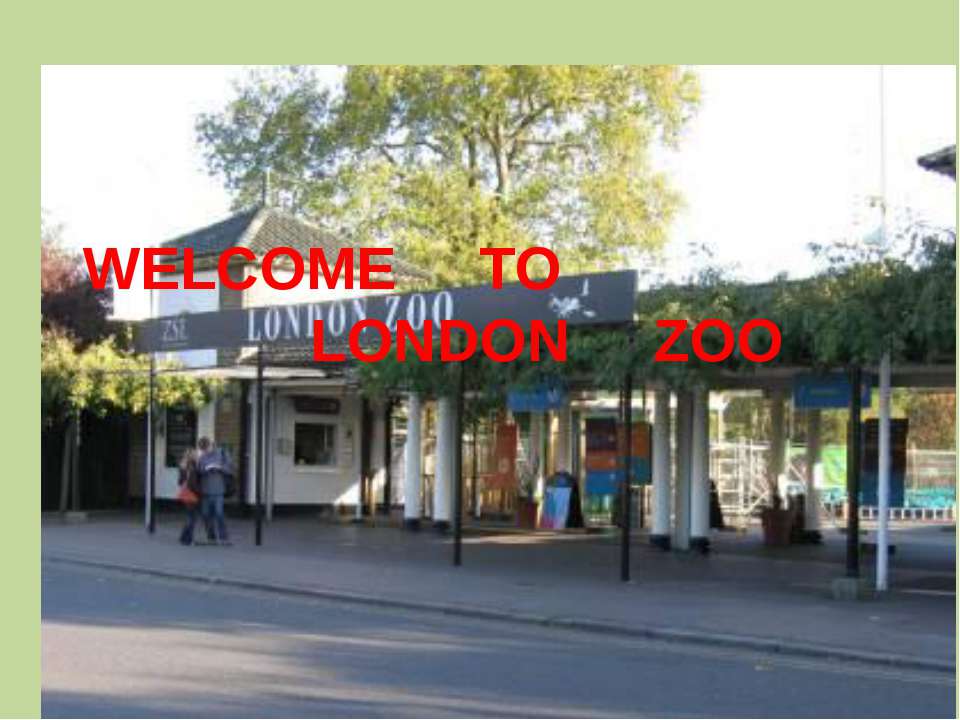 Welcome to London zoo - Скачать школьные презентации PowerPoint бесплатно | Портал бесплатных презентаций school-present.com