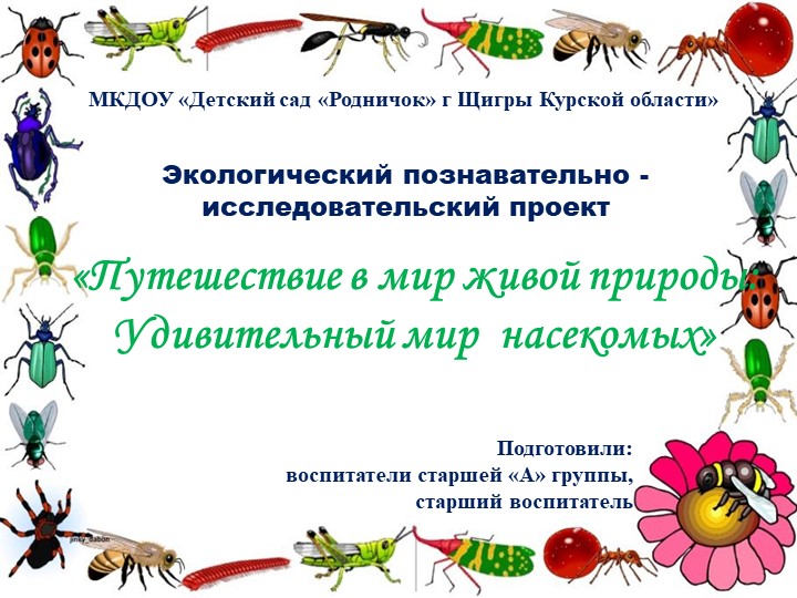 Экологический познавательно - исследовательский проект«Путешествие в мир живой природы: Удивительный мир насекомых» - Скачать школьные презентации PowerPoint бесплатно | Портал бесплатных презентаций school-present.com