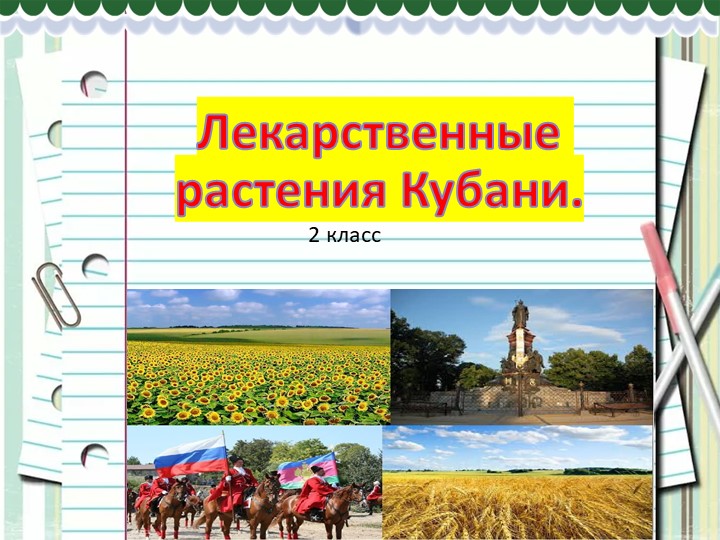 Презентация по кубановедению 2 класс Лекарственные растения. Правила сбора и использование лекарственных растений. - Скачать школьные презентации PowerPoint бесплатно | Портал бесплатных презентаций school-present.com