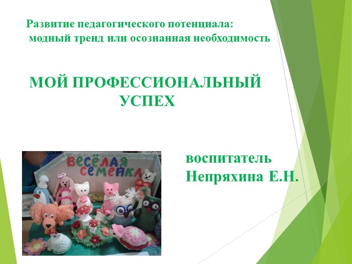Презентация «Мой профессиональный успех» - Скачать школьные презентации PowerPoint бесплатно | Портал бесплатных презентаций school-present.com