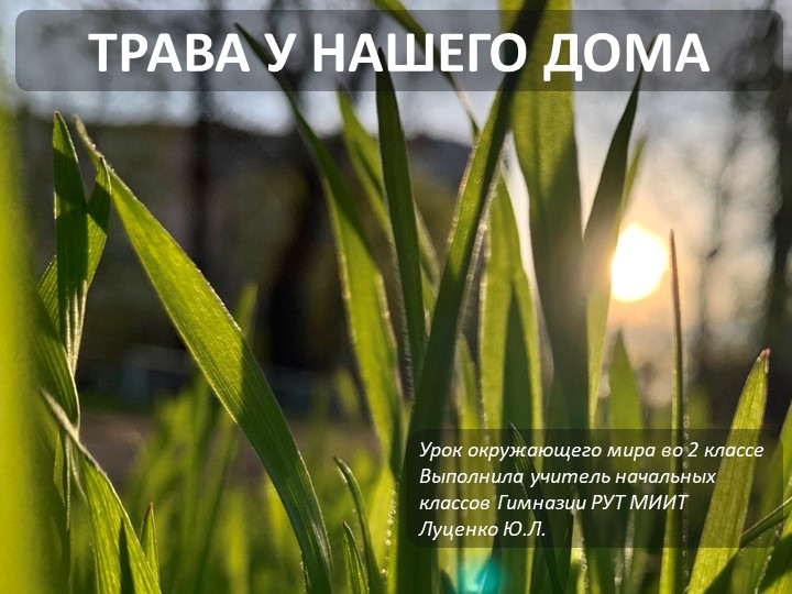 Презентация по окружающему миру "Трава у нашего дома" (2 класс) - Скачать школьные презентации PowerPoint бесплатно | Портал бесплатных презентаций school-present.com