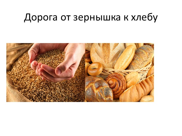 Презентация знакомство с хлебом( " от зернышка до хлеба") - Скачать школьные презентации PowerPoint бесплатно | Портал бесплатных презентаций school-present.com