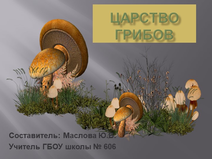 Презентация по окружающему миру на тему "Грибы" - Скачать школьные презентации PowerPoint бесплатно | Портал бесплатных презентаций school-present.com