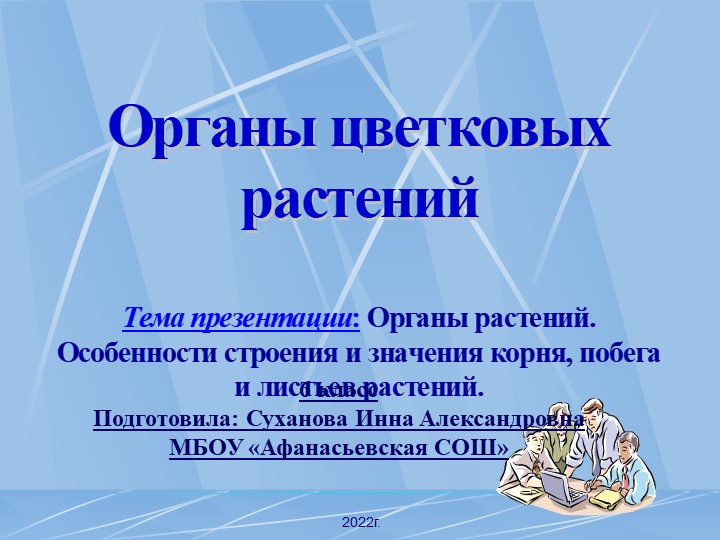 Презентация " Органы цветковых растений" - Скачать школьные презентации PowerPoint бесплатно | Портал бесплатных презентаций school-present.com
