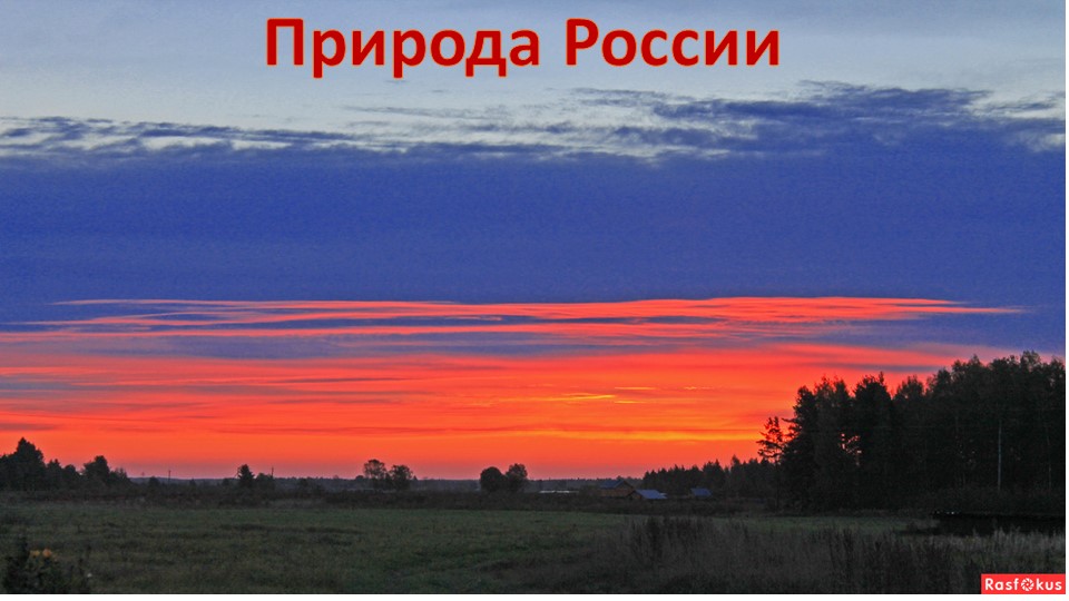 Презентация по окружающему миру на тему "Зона степей" (4 класс) - Скачать школьные презентации PowerPoint бесплатно | Портал бесплатных презентаций school-present.com