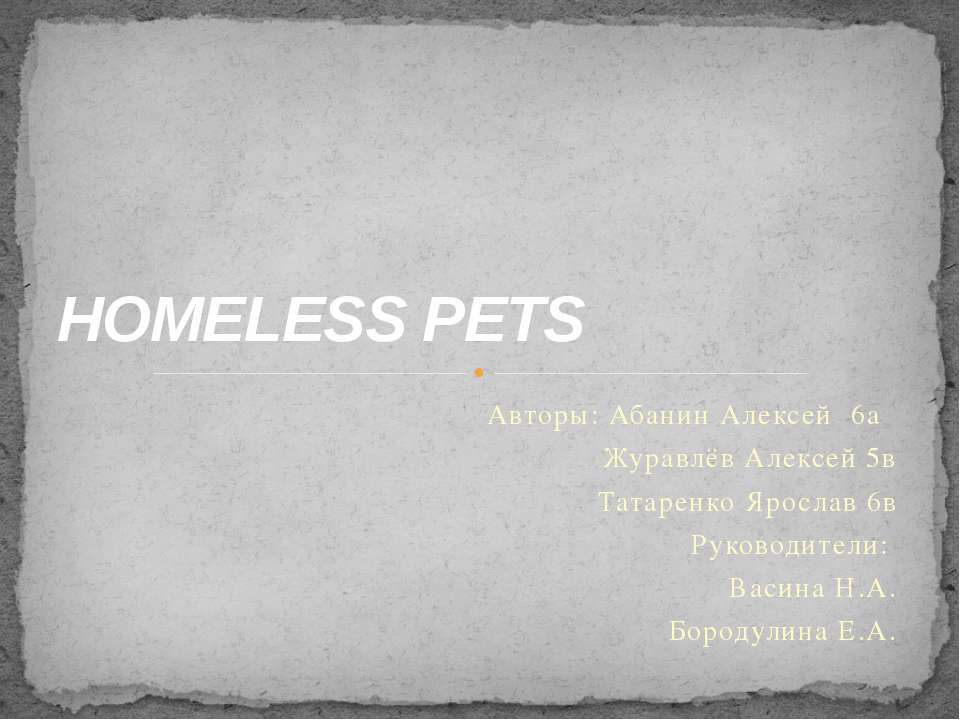 Homeless Pets - Скачать школьные презентации PowerPoint бесплатно | Портал бесплатных презентаций school-present.com