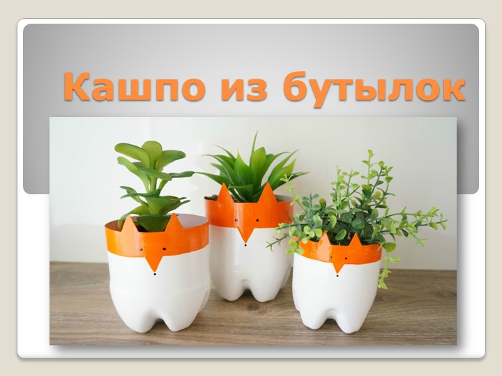 Презентация для уроков технологии "Кашпо из бутылок" - Скачать школьные презентации PowerPoint бесплатно | Портал бесплатных презентаций school-present.com