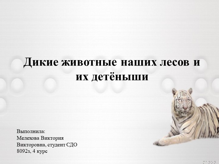 Презентация к лексико-грамматическому занятию для детей ОНР "Дикие животные и их детёныши" - Скачать школьные презентации PowerPoint бесплатно | Портал бесплатных презентаций school-present.com