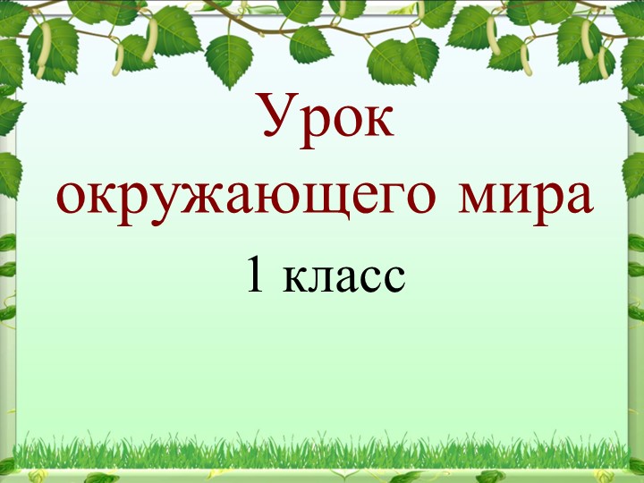 Что общего у разных растений - Скачать школьные презентации PowerPoint бесплатно | Портал бесплатных презентаций school-present.com