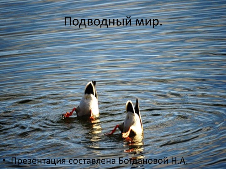 Презентация к уроку географии "Подводный мир" - Скачать школьные презентации PowerPoint бесплатно | Портал бесплатных презентаций school-present.com