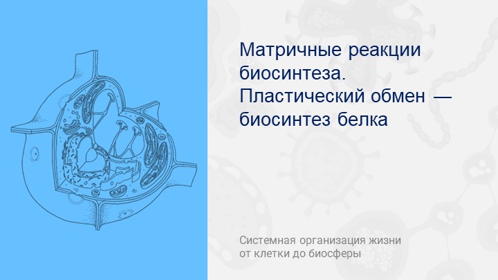 Презентация по биологии на тему "Пластический обмен. Биосинтез белка" - Скачать школьные презентации PowerPoint бесплатно | Портал бесплатных презентаций school-present.com