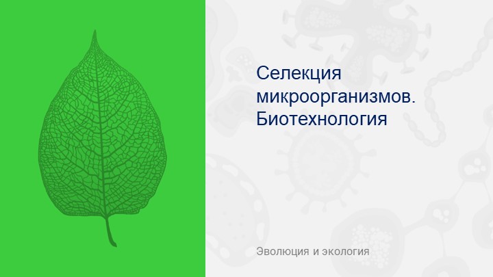 Презентация по биологии на тему "Биотехнологии" - Скачать школьные презентации PowerPoint бесплатно | Портал бесплатных презентаций school-present.com