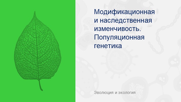Презентация оп биологии на тему "Модификационная изменчивость" - Скачать школьные презентации PowerPoint бесплатно | Портал бесплатных презентаций school-present.com