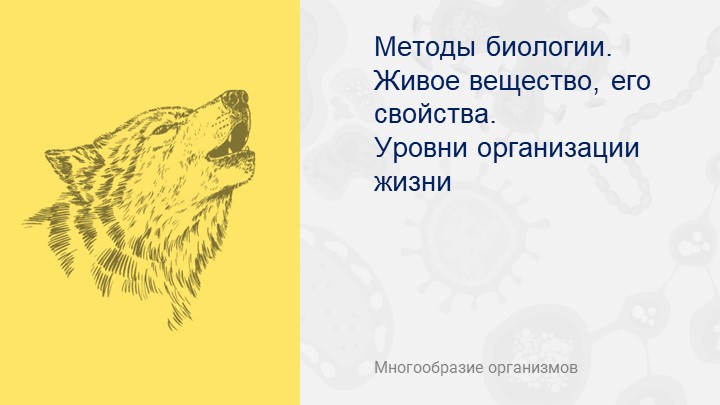 Презентация "Методы биологии и уровни организации жизни" - Скачать школьные презентации PowerPoint бесплатно | Портал бесплатных презентаций school-present.com