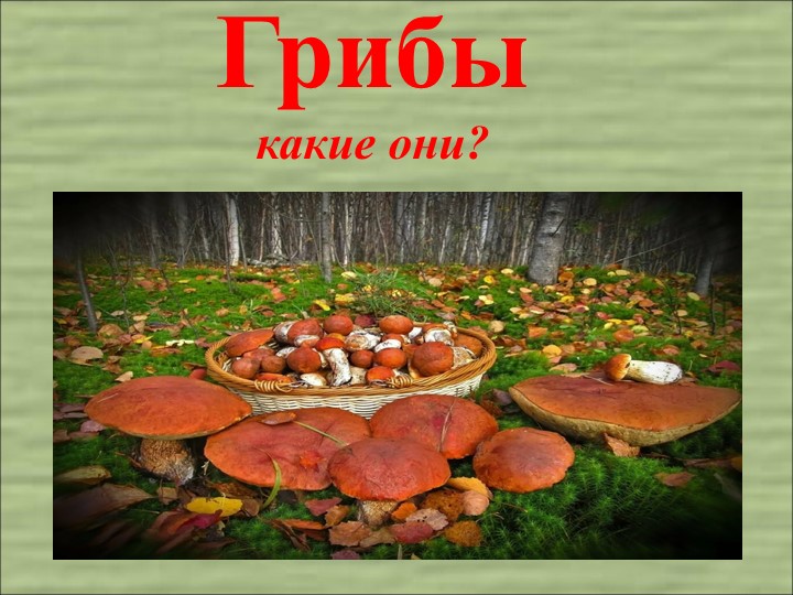 Интерактивная презентация "Грибы" подготовительная группа - Скачать школьные презентации PowerPoint бесплатно | Портал бесплатных презентаций school-present.com