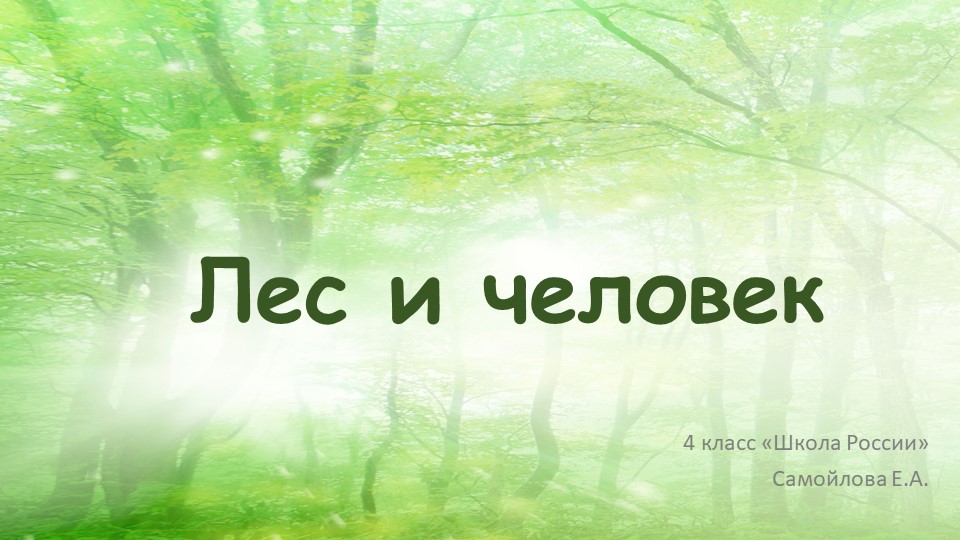 Презентация по окружающему миру по теме "Лес и человек" (4 класс) - Скачать школьные презентации PowerPoint бесплатно | Портал бесплатных презентаций school-present.com