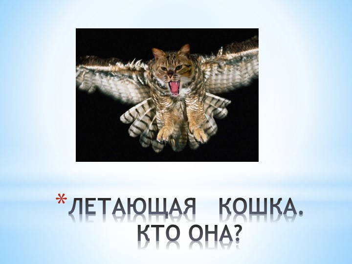 Презентация проекта "Летающая кошка или символ мудрости?" - Скачать школьные презентации PowerPoint бесплатно | Портал бесплатных презентаций school-present.com