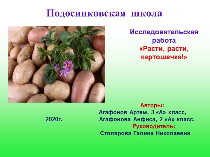 Презентация МОУ Подосинковская сош Агафоновы Расти, расти, картошечка!.ppt - Скачать школьные презентации PowerPoint бесплатно | Портал бесплатных презентаций school-present.com