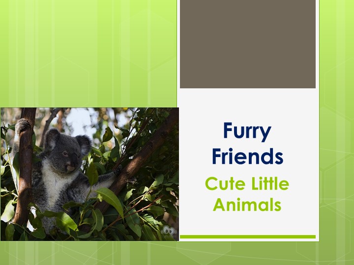 Презентация на тему наши пушистые друзья - Скачать школьные презентации PowerPoint бесплатно | Портал бесплатных презентаций school-present.com
