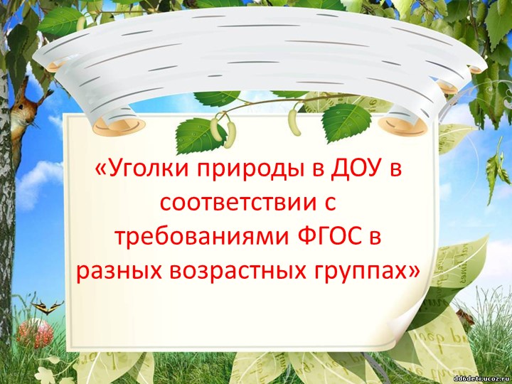 Презентация по окружающему миру "Уголок природы" - Скачать школьные презентации PowerPoint бесплатно | Портал бесплатных презентаций school-present.com