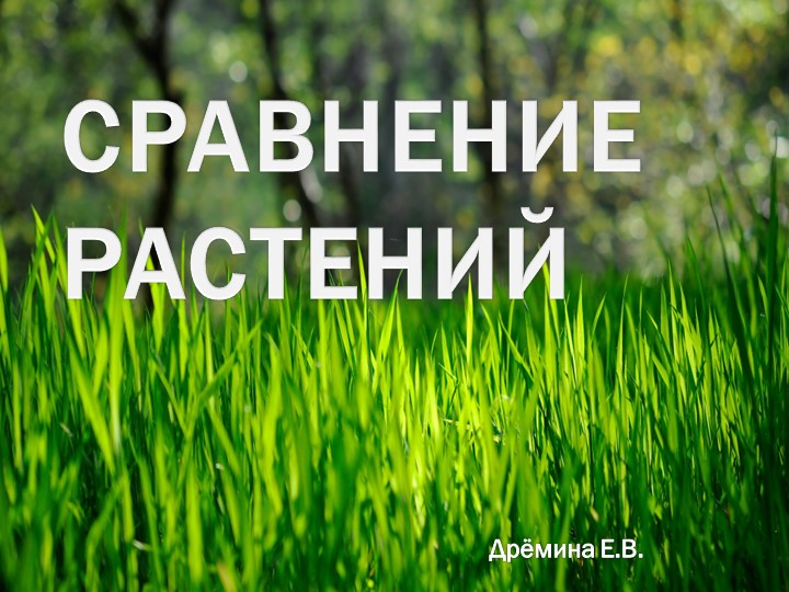 Презентация по мир природы и человека на тему: "Сравнение растений" (3 класс) - Скачать школьные презентации PowerPoint бесплатно | Портал бесплатных презентаций school-present.com
