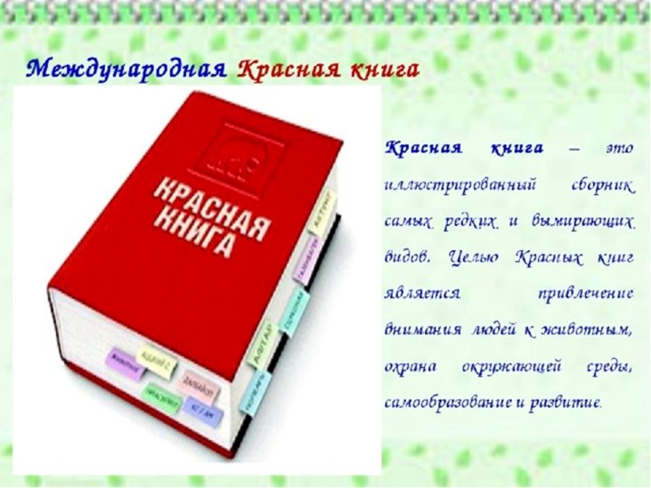 Презентация по биологии на тему "Красная книга" (7 класс) - Скачать школьные презентации PowerPoint бесплатно | Портал бесплатных презентаций school-present.com