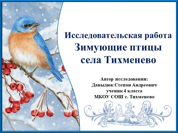 Презентация к исследовательской работе "Зимующие птицы села Тихменево" - Скачать школьные презентации PowerPoint бесплатно | Портал бесплатных презентаций school-present.com