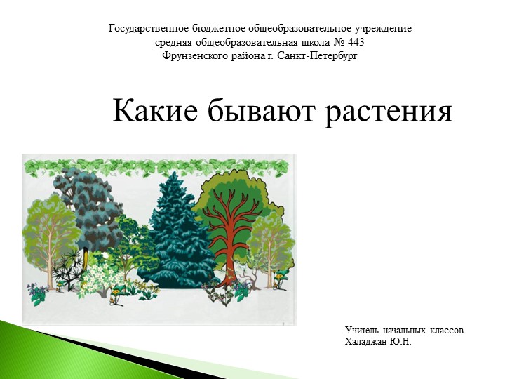 2 класс_Окружающий мир_Какие бывают растения - Скачать школьные презентации PowerPoint бесплатно | Портал бесплатных презентаций school-present.com