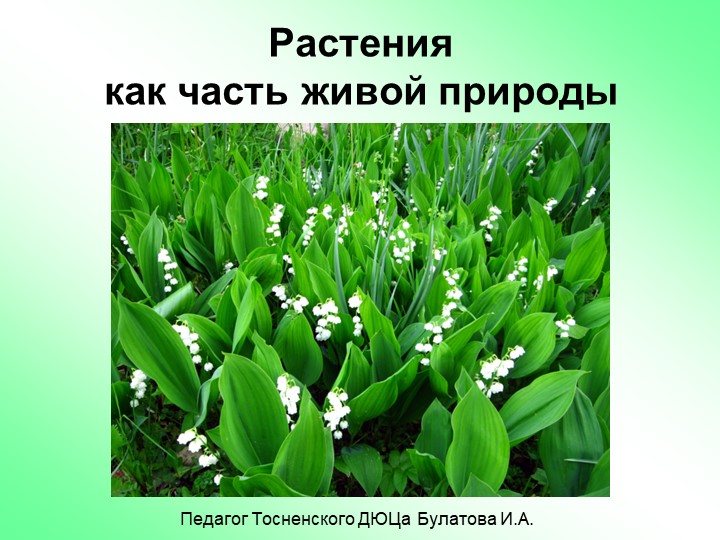 Растения - часть живой природы - Скачать школьные презентации PowerPoint бесплатно | Портал бесплатных презентаций school-present.com