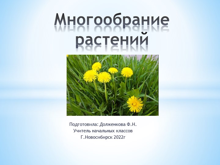 Презентация по окружающему миру на тему "Многообразие растений" (3 класс) - Скачать школьные презентации PowerPoint бесплатно | Портал бесплатных презентаций school-present.com