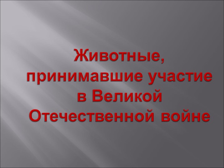 Проект "Животные, принимавшие участие в Великой Отечественной войне." - Скачать школьные презентации PowerPoint бесплатно | Портал бесплатных презентаций school-present.com