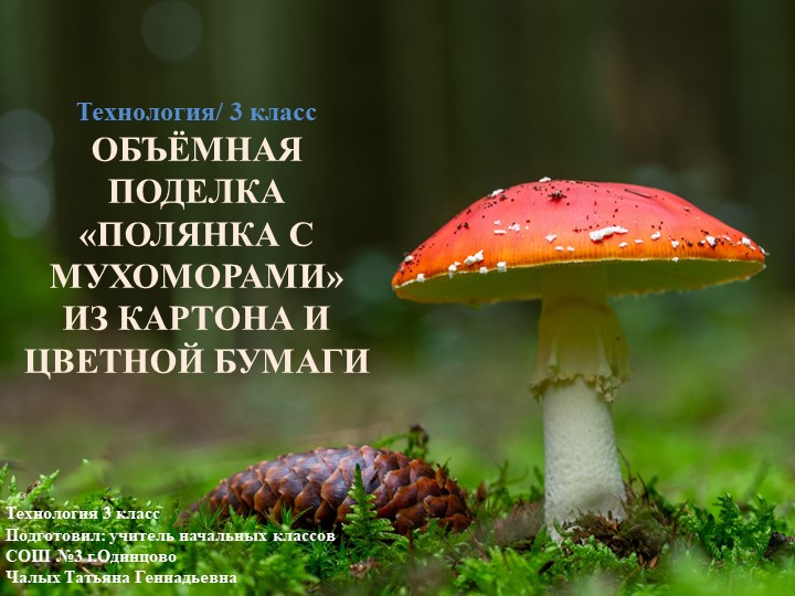 Презентация по технологии на тему: "Объёмная поделка «Полянка с мухоморами» из картона и цветной бумаги (1-4 классы). - Скачать школьные презентации PowerPoint бесплатно | Портал бесплатных презентаций school-present.com