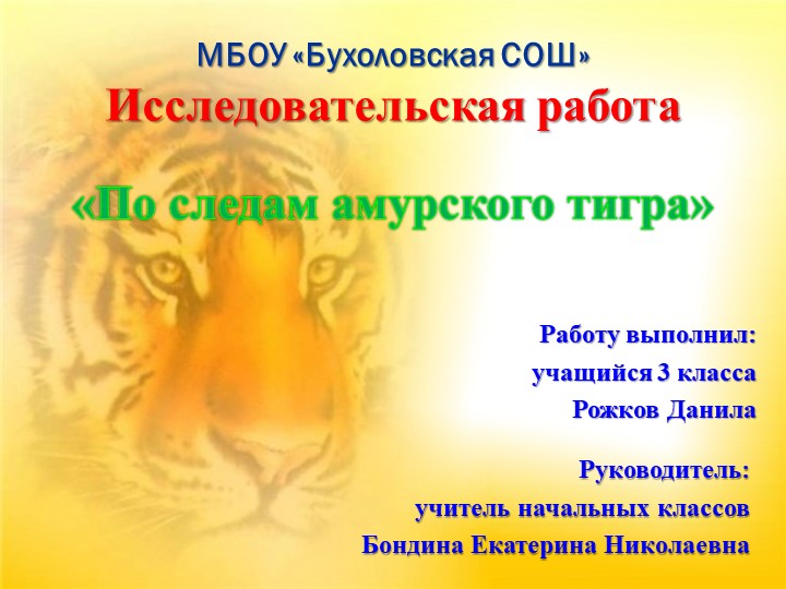 Презентация к исследовательской работе "По следам амурского тигра" - Скачать школьные презентации PowerPoint бесплатно | Портал бесплатных презентаций school-present.com