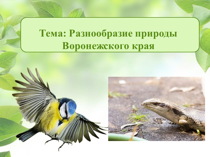 Презентация на тему "Разнообразие природы Воронежского края" - Скачать школьные презентации PowerPoint бесплатно | Портал бесплатных презентаций school-present.com