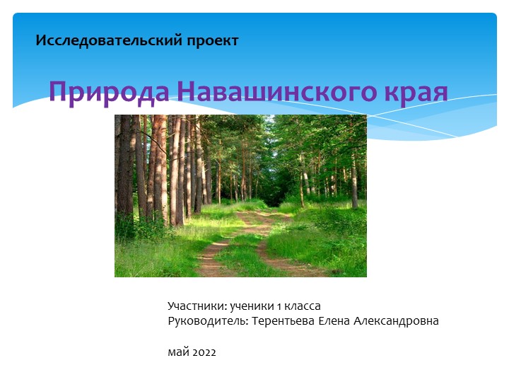 Исследовательский проект "Природа Навашинского края" - Скачать школьные презентации PowerPoint бесплатно | Портал бесплатных презентаций school-present.com